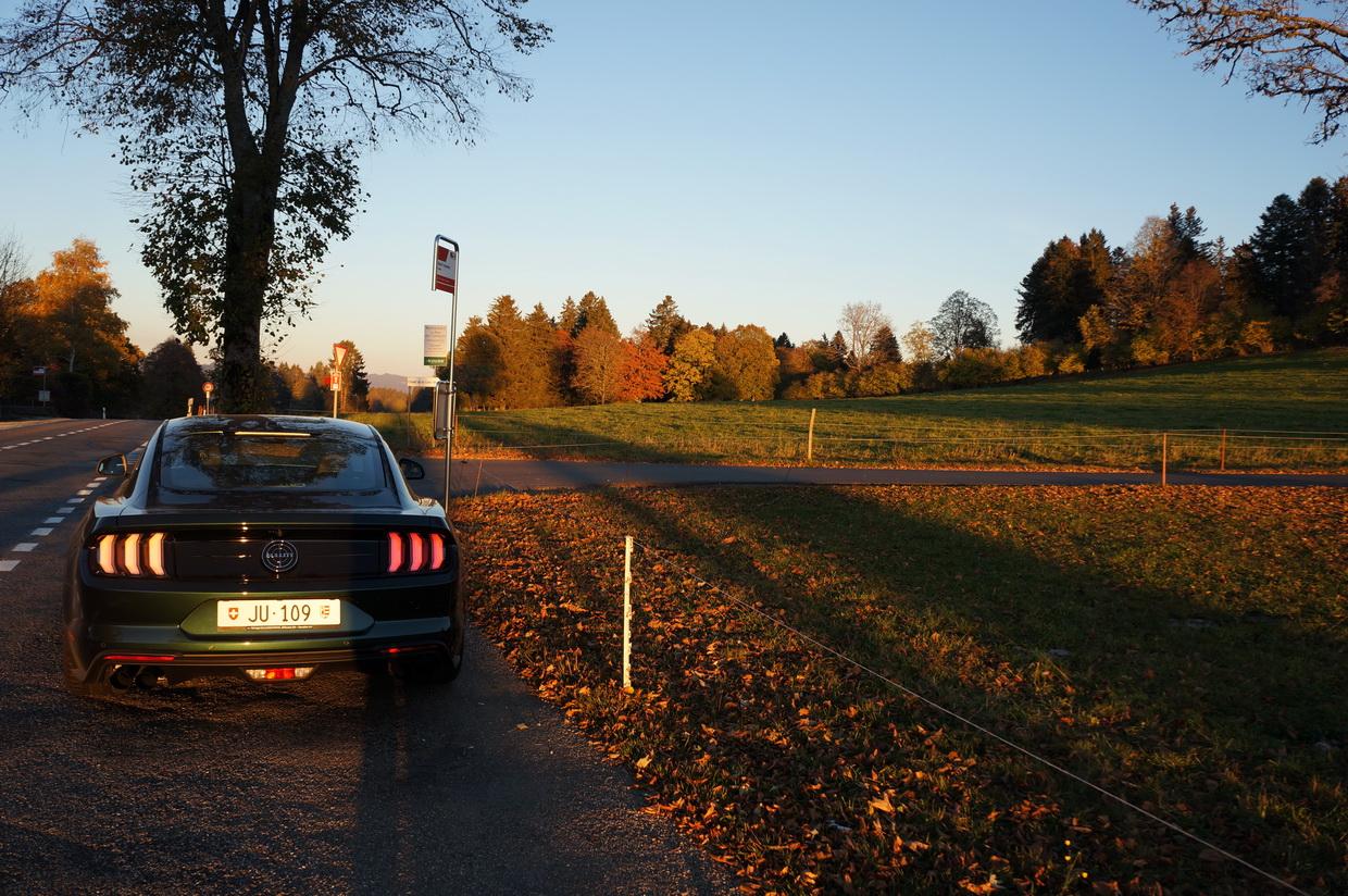 Bullitt 26.JPG