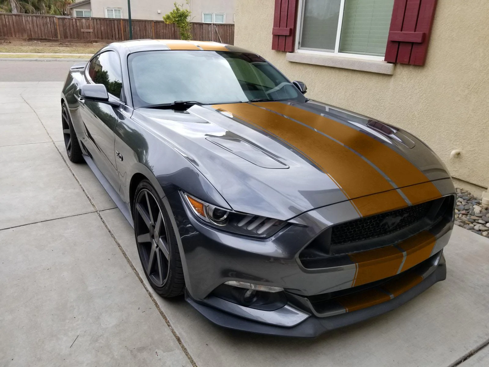 Bronze_Stripe.webp