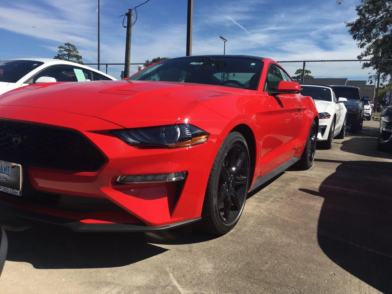 2018 Race Red.webp