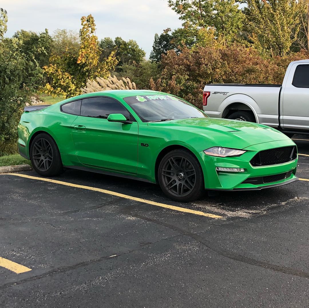 2019 Mustang 3.jpg