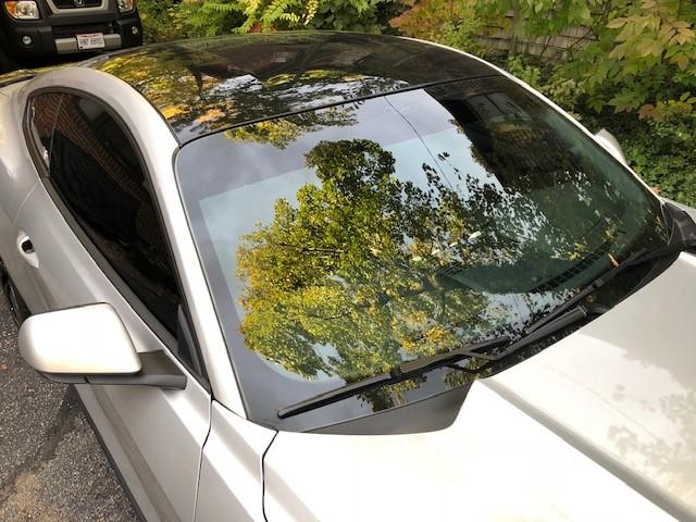 black roof.jpg