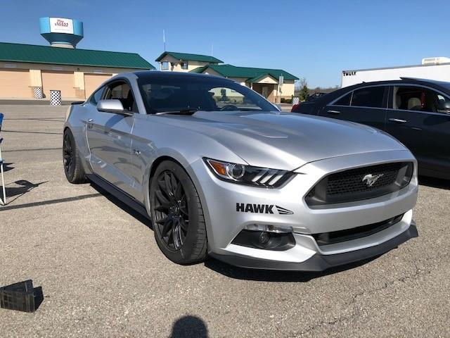 mustang 2.jpg