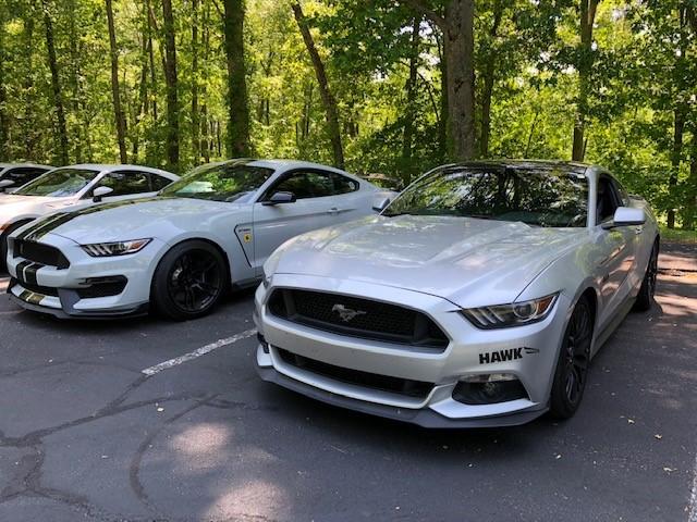 Mustang.jpg