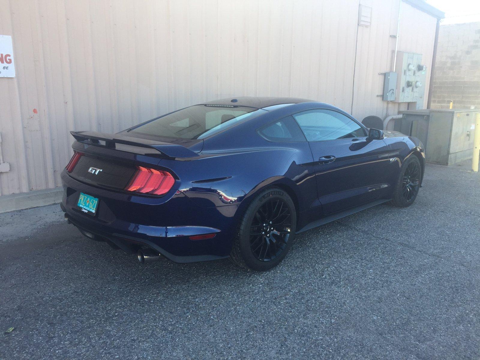 mustang1.jpg