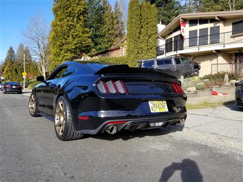 wtk-177916c_4f8c4ef9.jpg