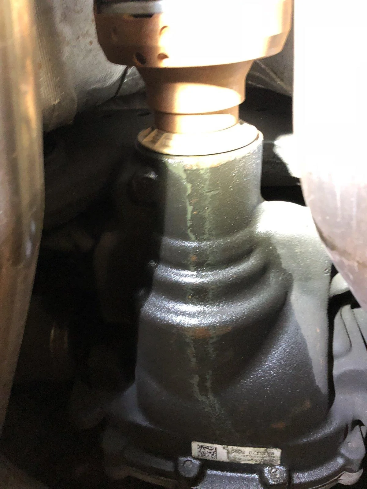 IMG_7321.webp