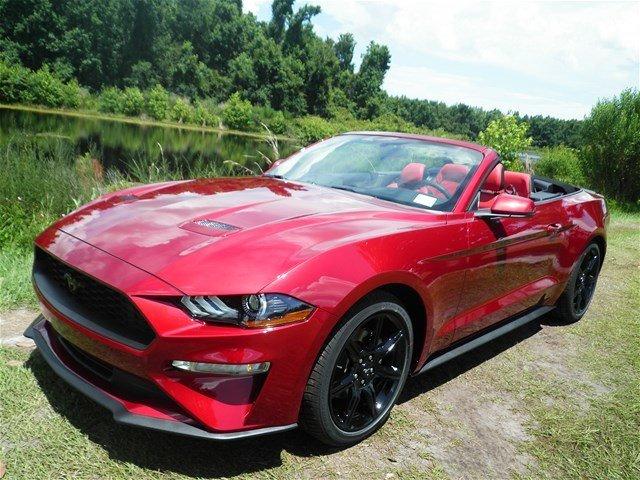 mustang 070.jpg