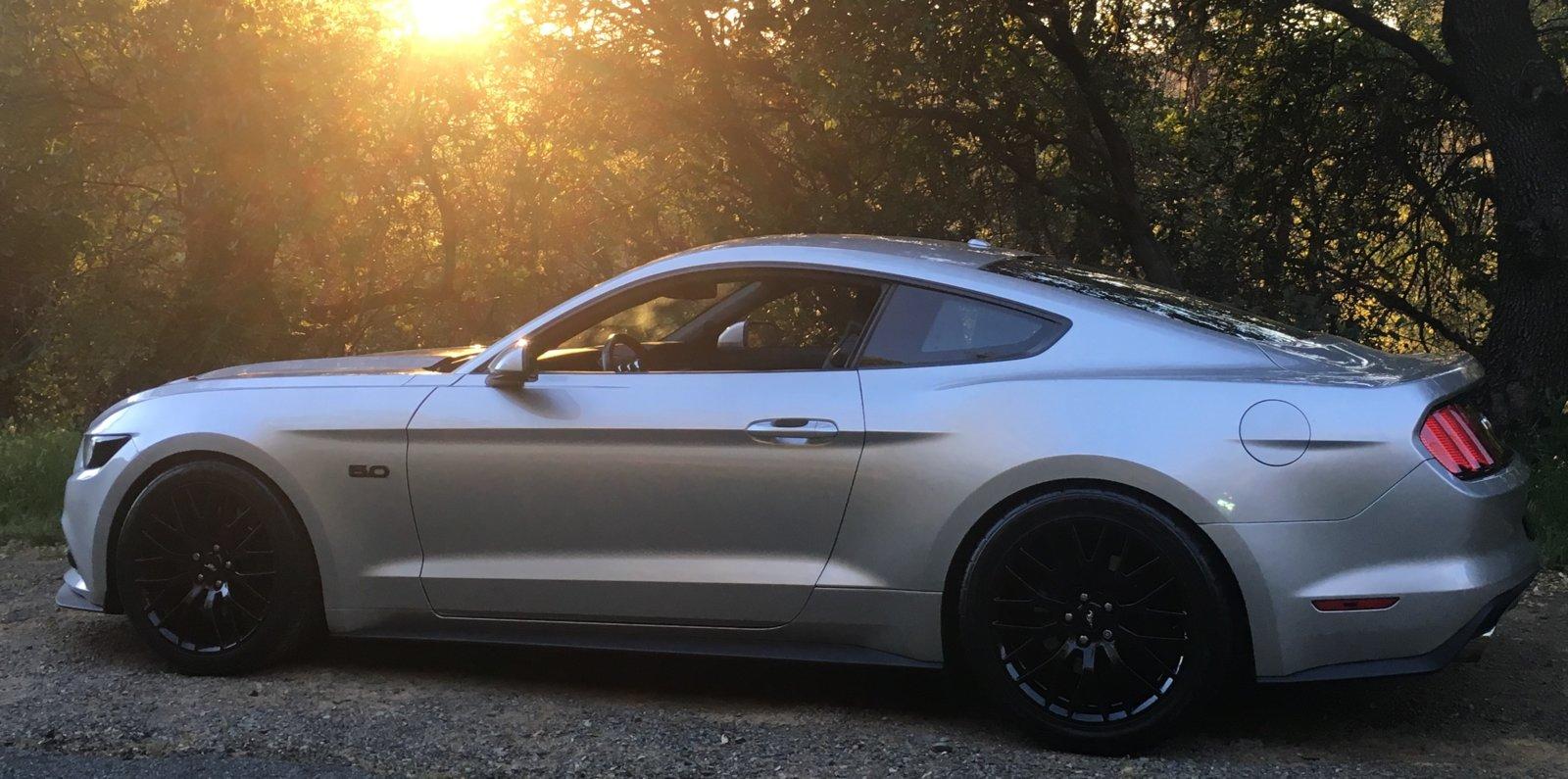 Stang at Connector.JPG