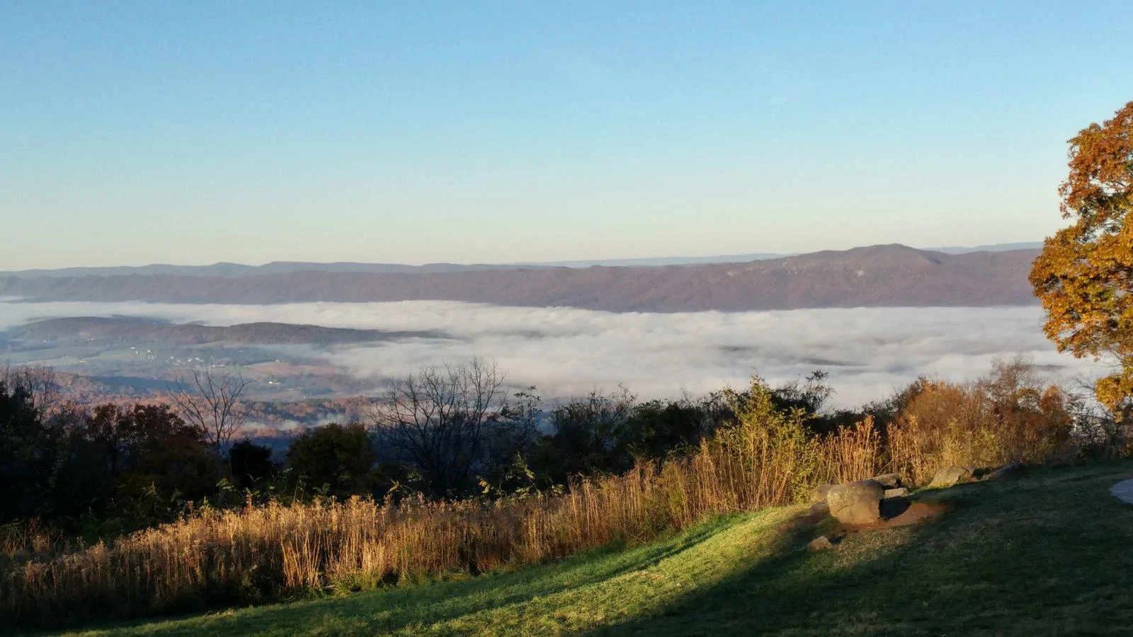 20181104_073158_HDR.jpg