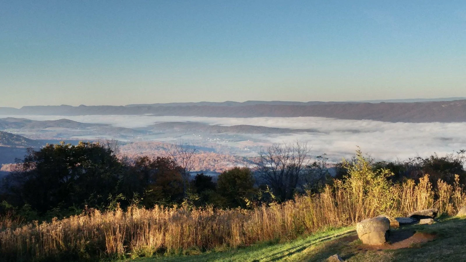 20181104_073216_HDR.jpg