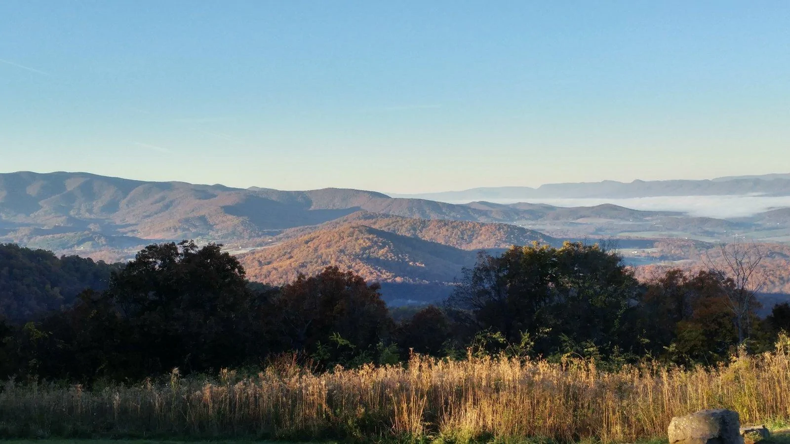 20181104_073231_HDR.jpg