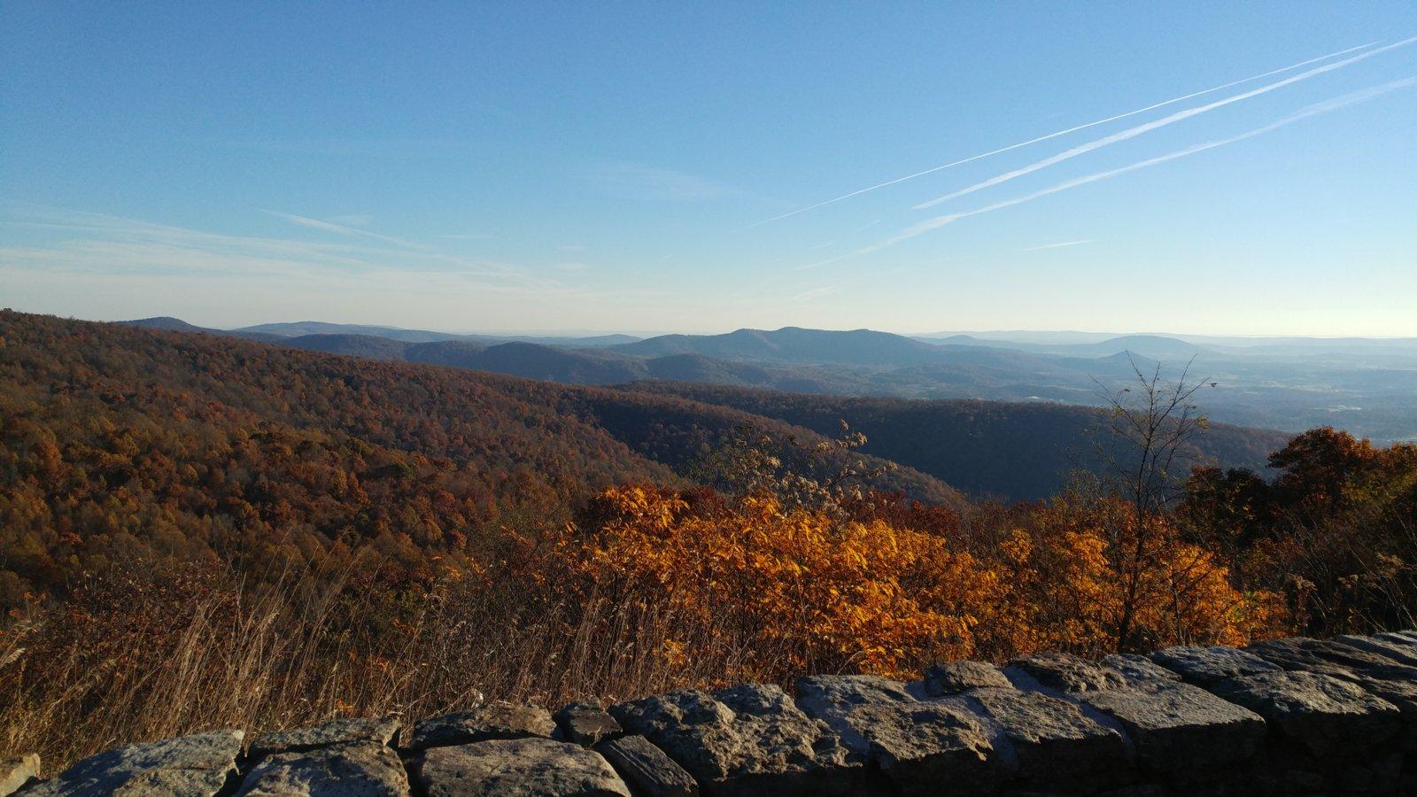 20181104_074651.jpg