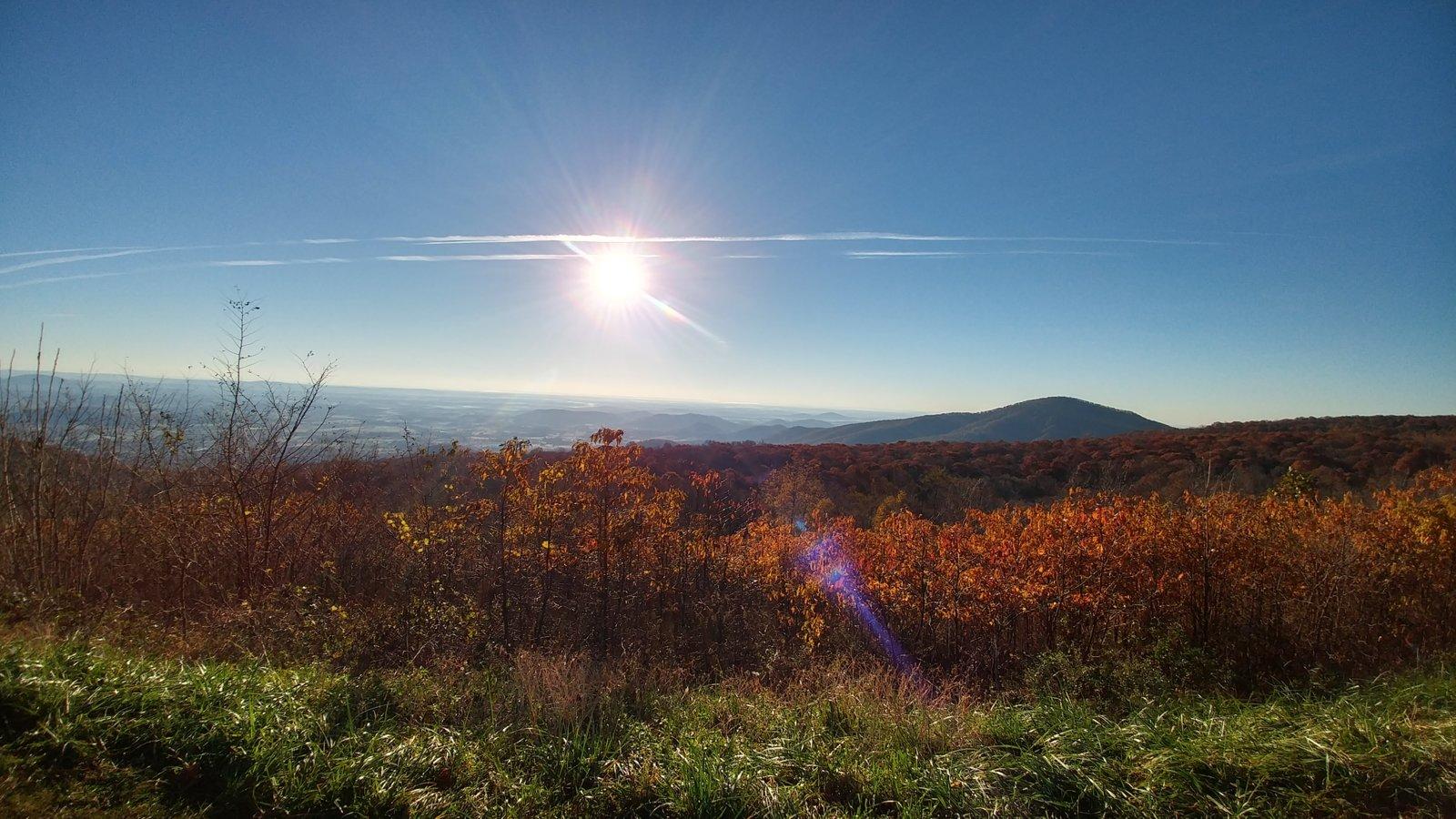 20181104_075418_HDR.jpg