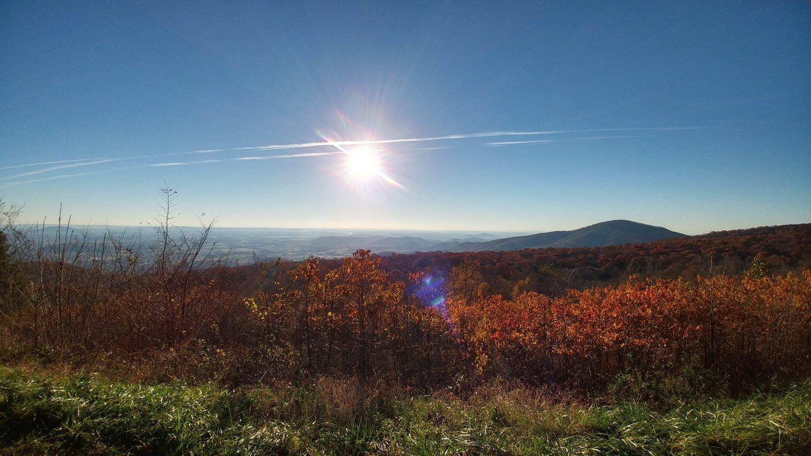 20181104_075428_HDR.jpg