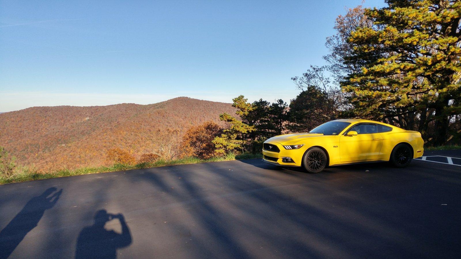 20181104_082254_HDR.jpg