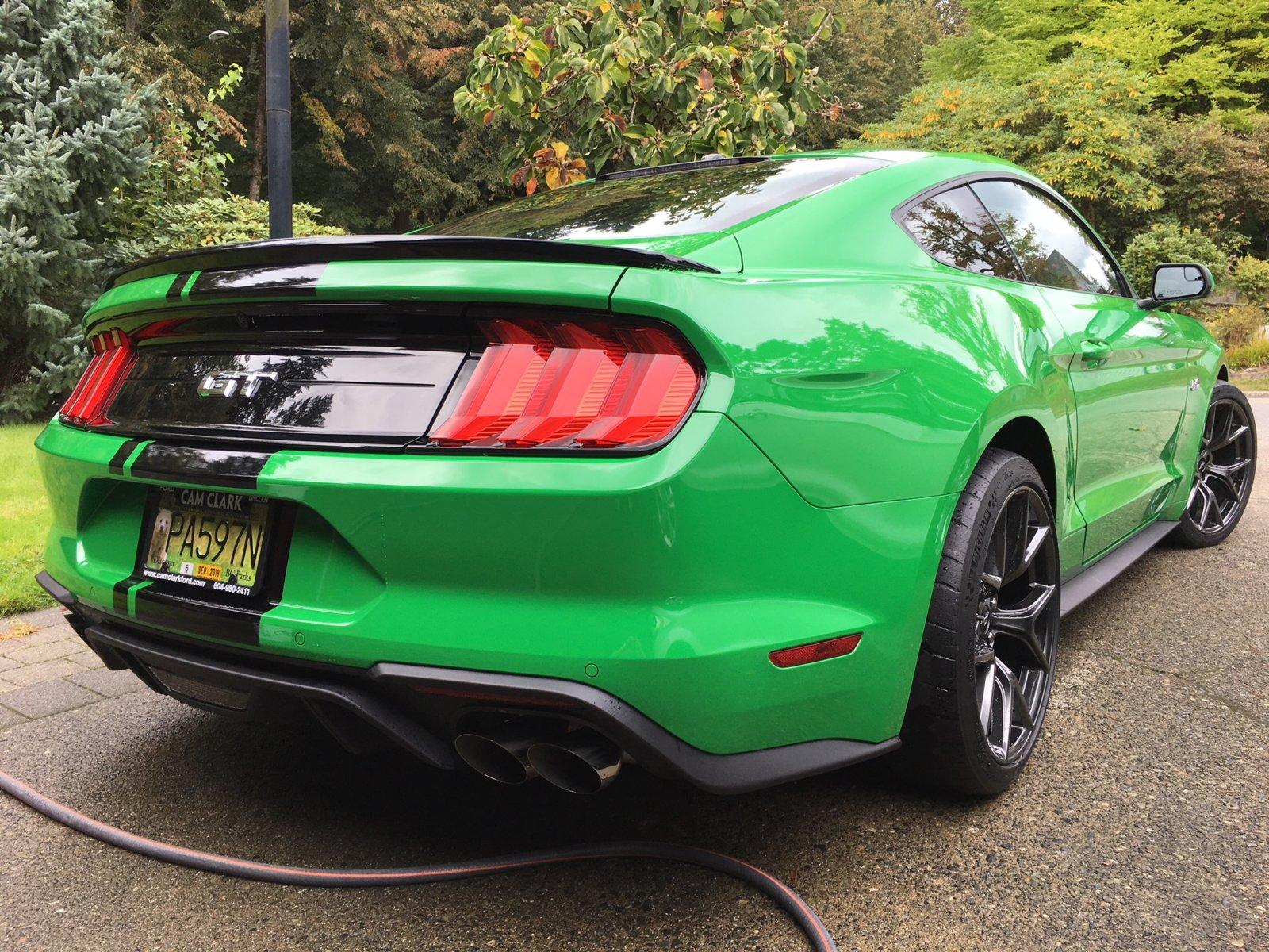 Mustang Rear.JPG