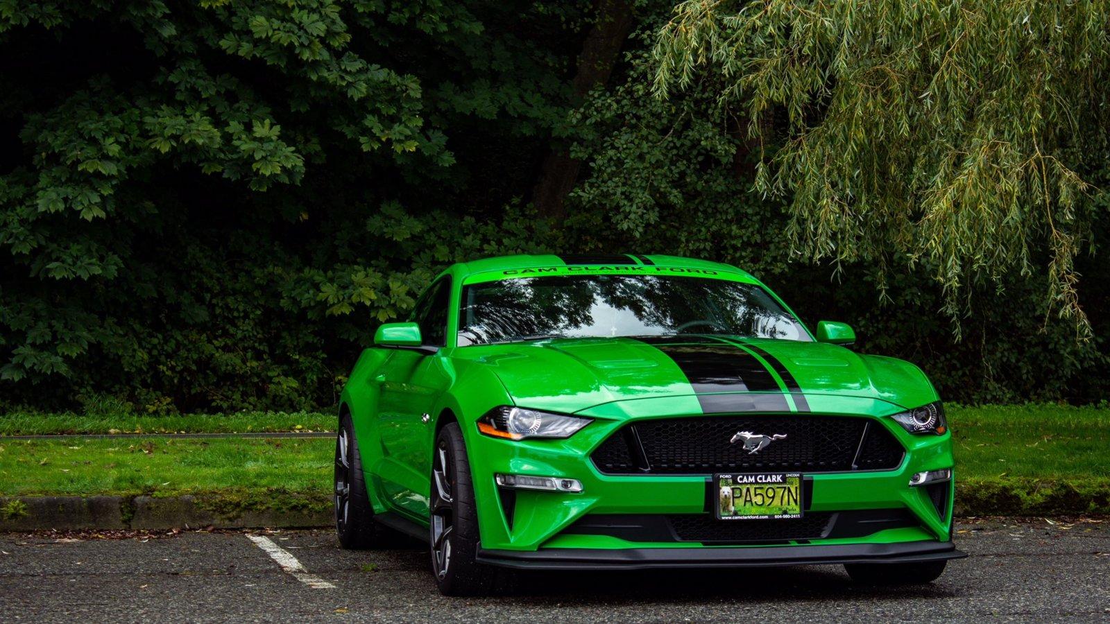 Mustang Show.jpg