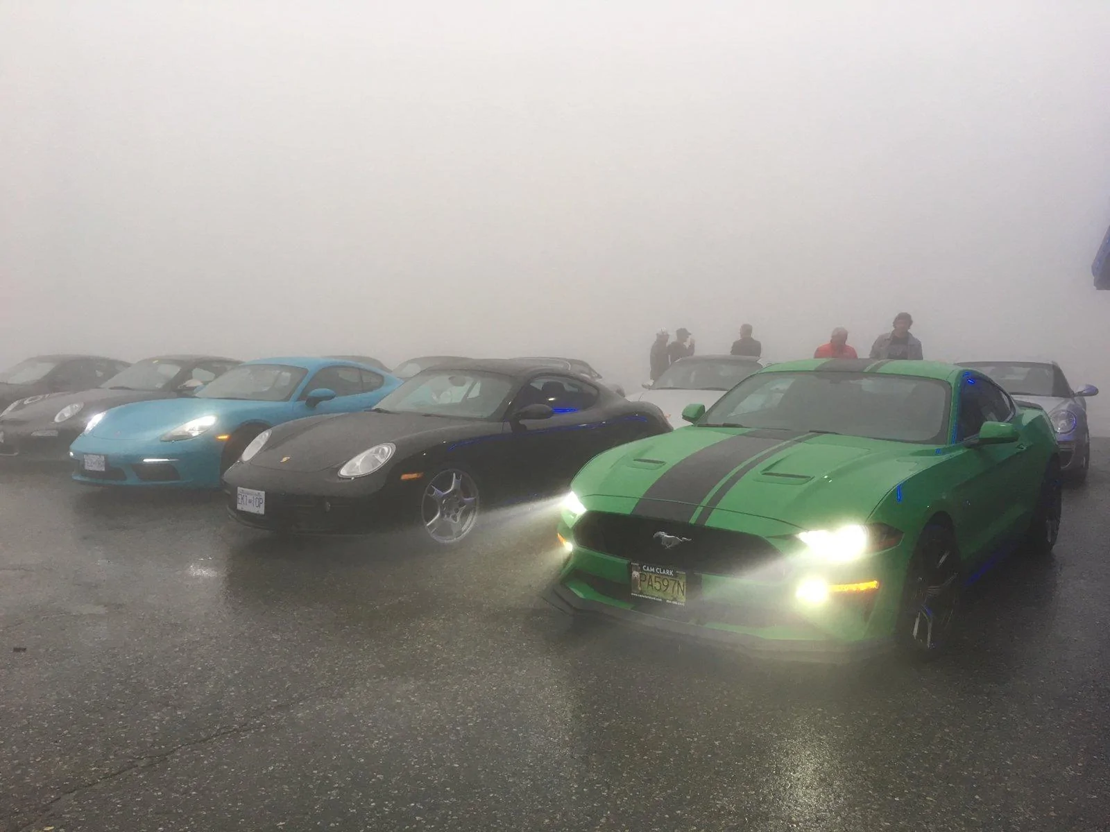 Mustang First Day.webp
