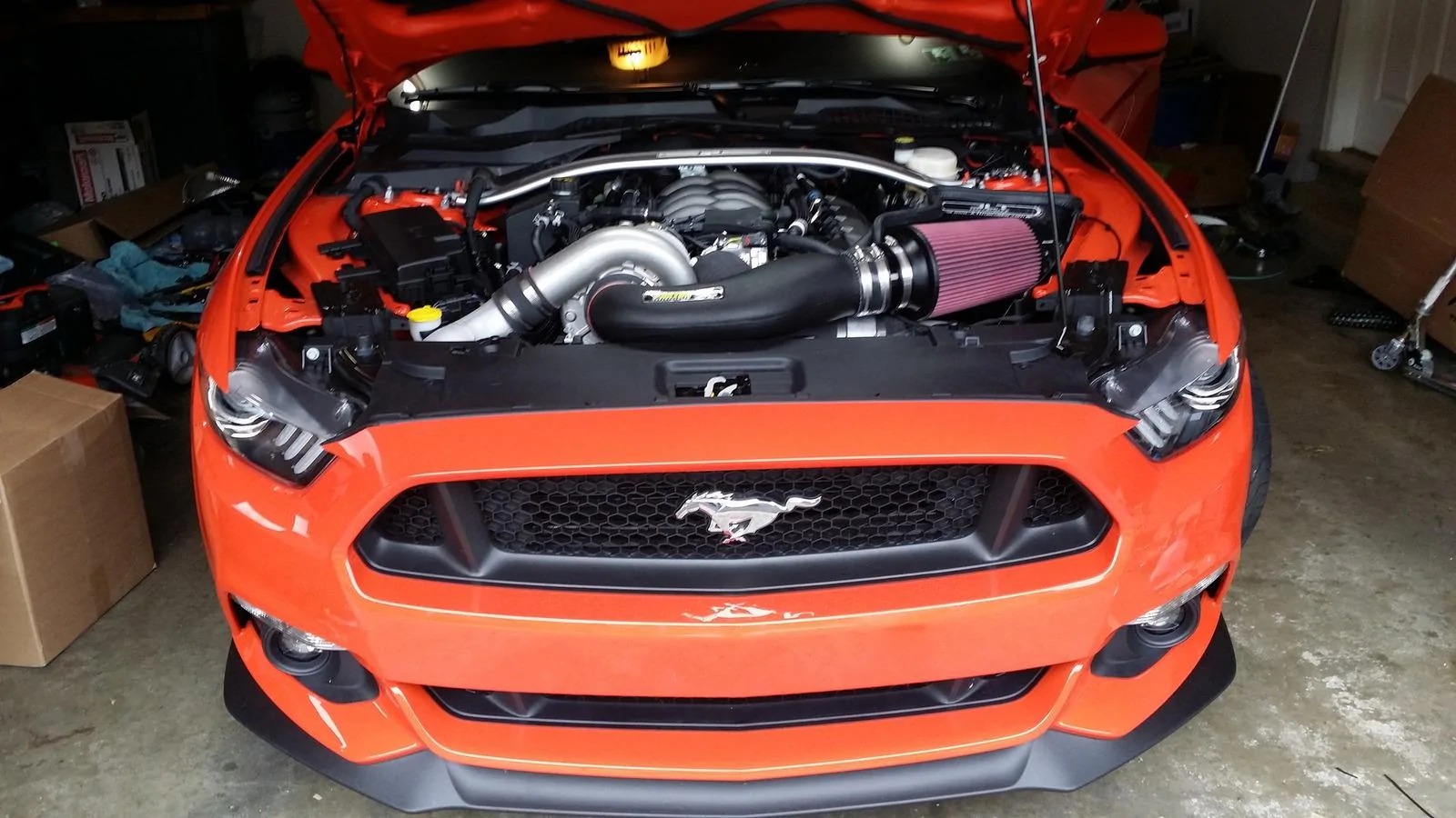 37838362954_208ae1fd42_k.webp