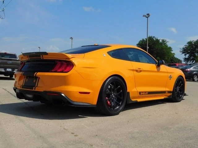 2018 Super Snake OF 3.webp