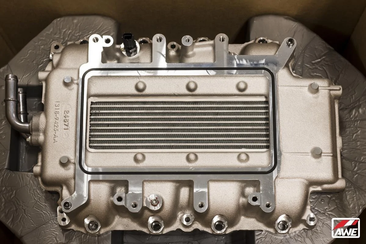 DSC-3131-3.webp