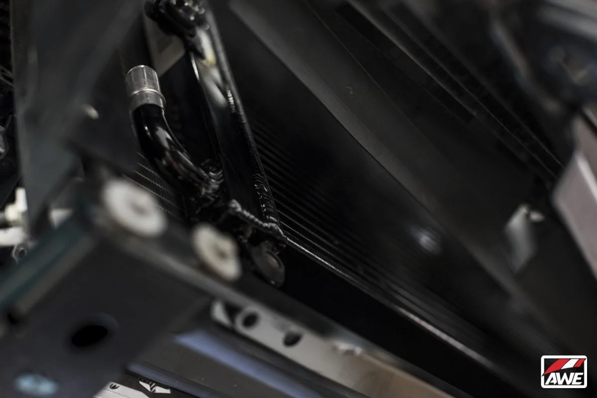 DSC-3974-2.webp
