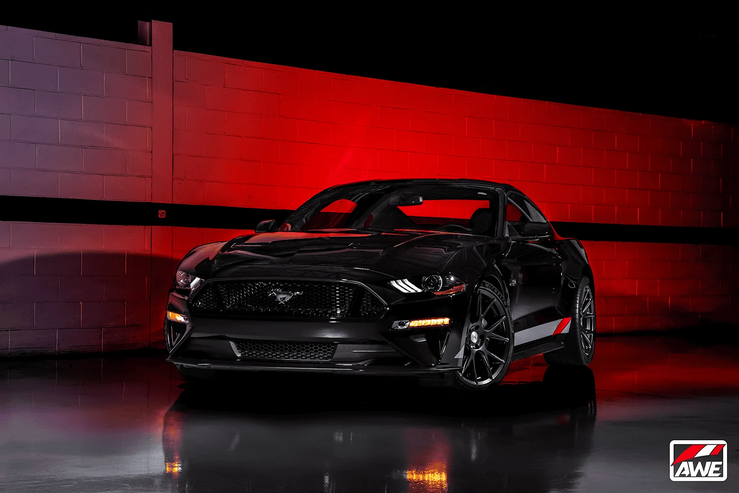 MUSTANG_2-3-Edit-X.webp
