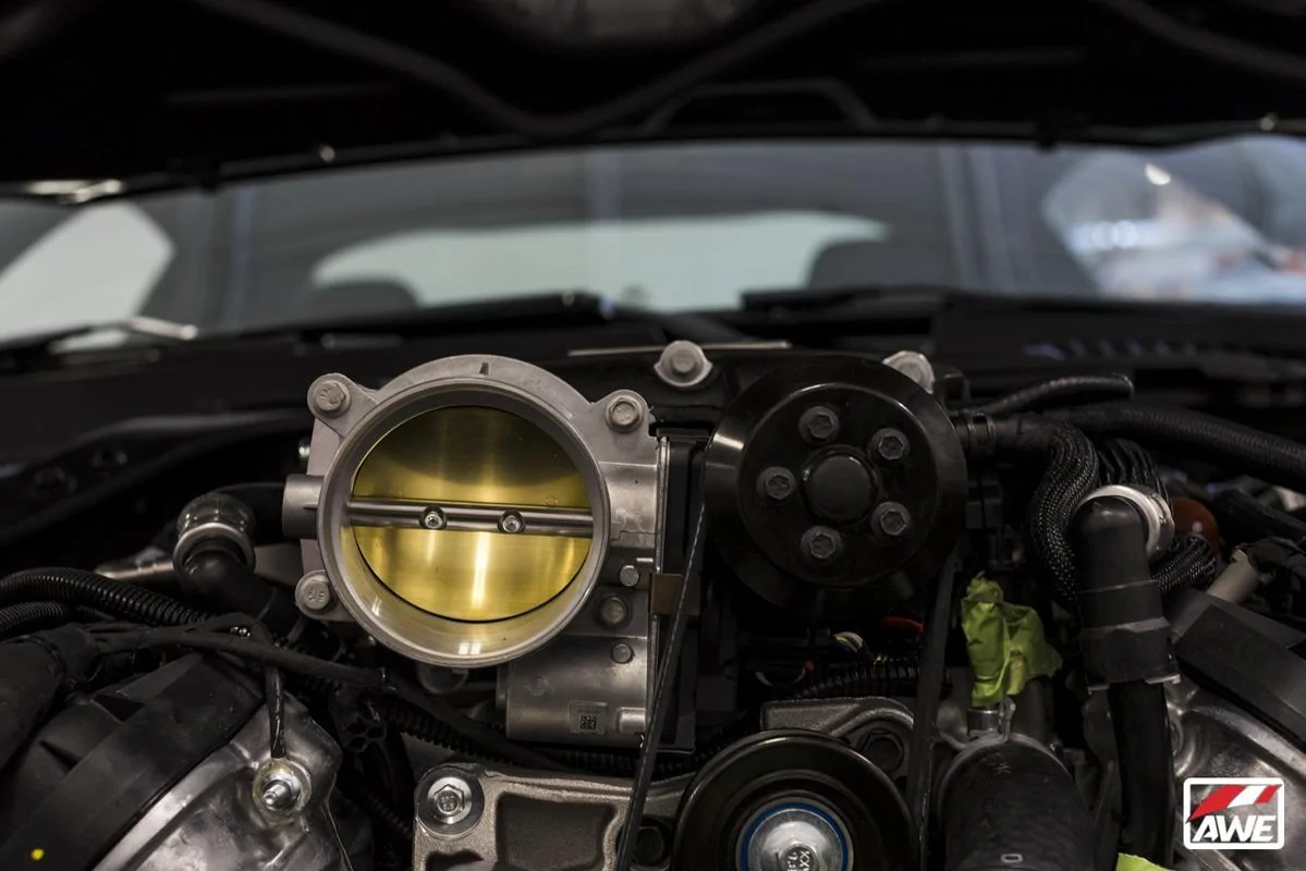 DSC-3951.webp
