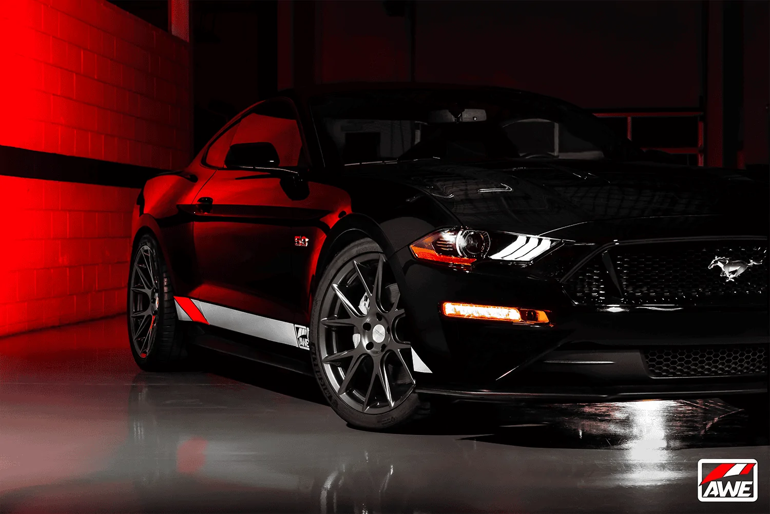 MUSTANG_1-3-X.webp
