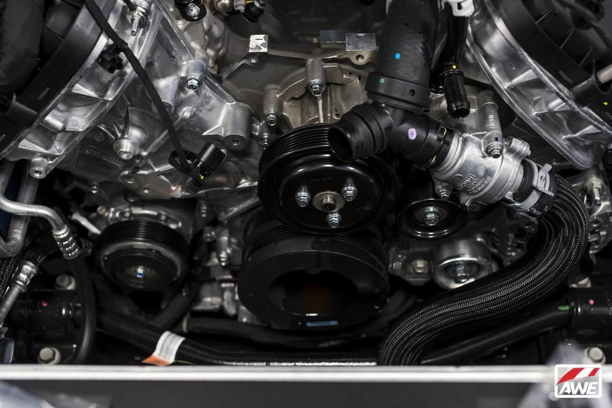 DSC-4151.webp