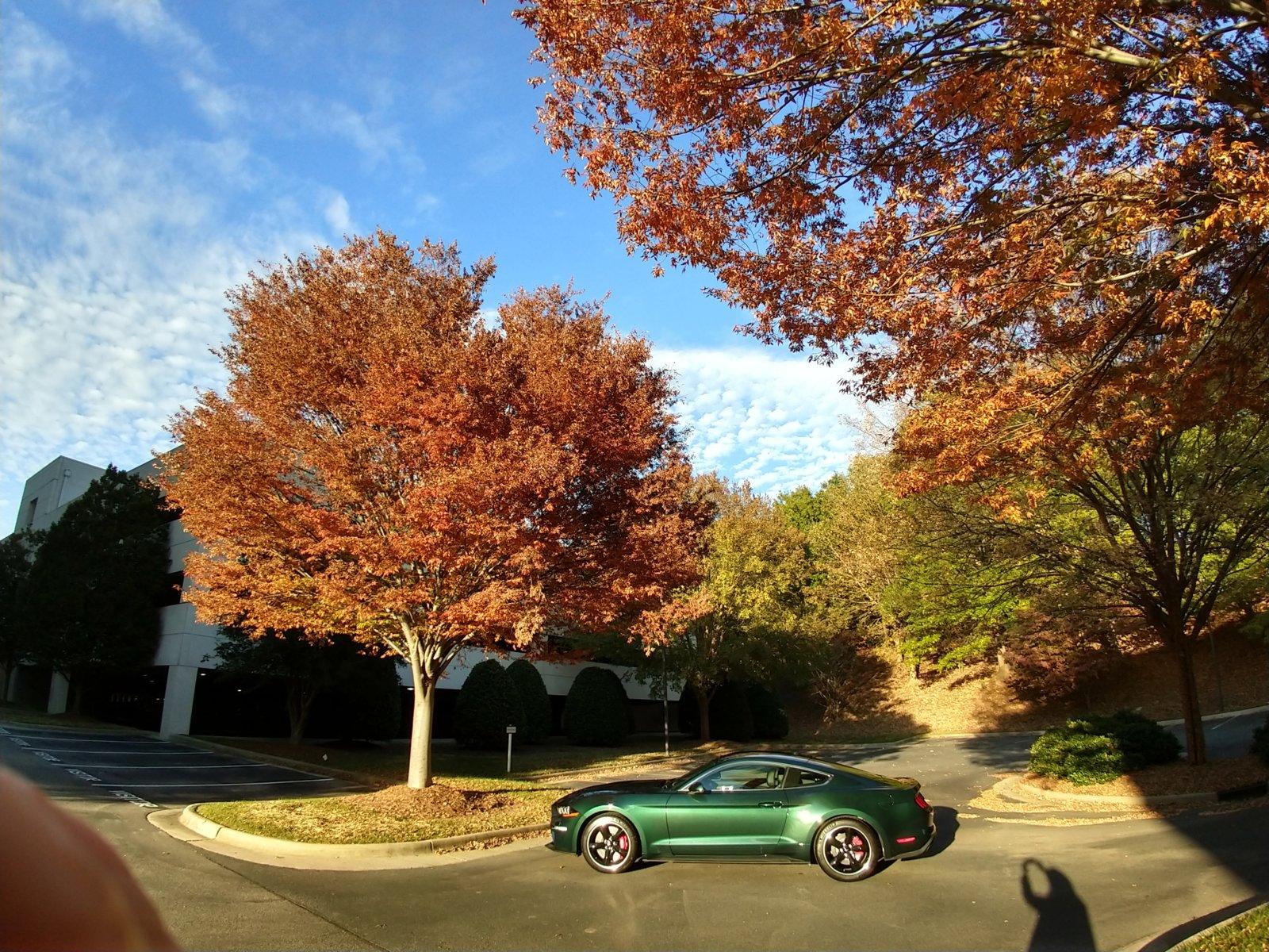 Bullitt 19_5.jpg