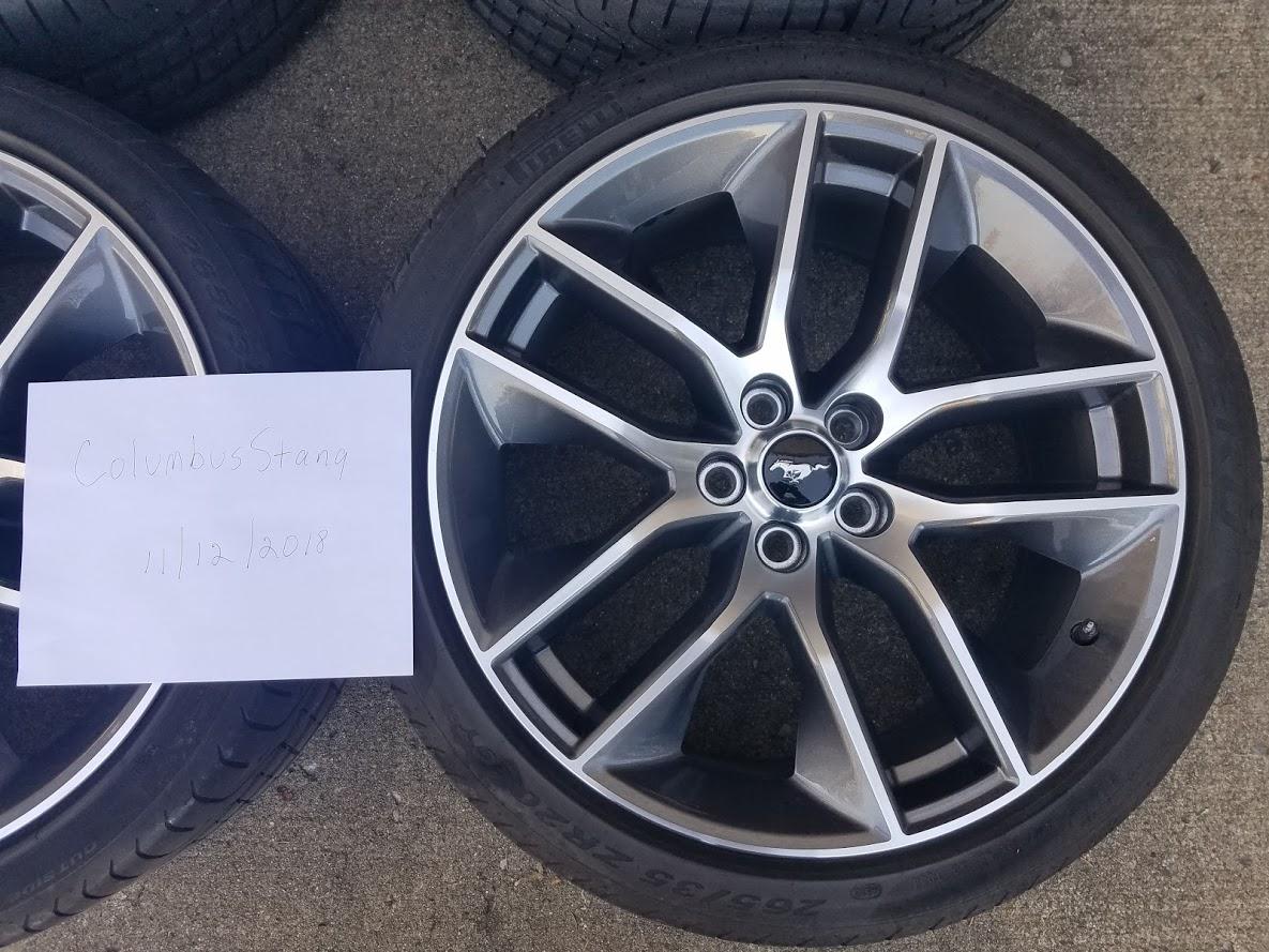 Bottom right wheel.jpg