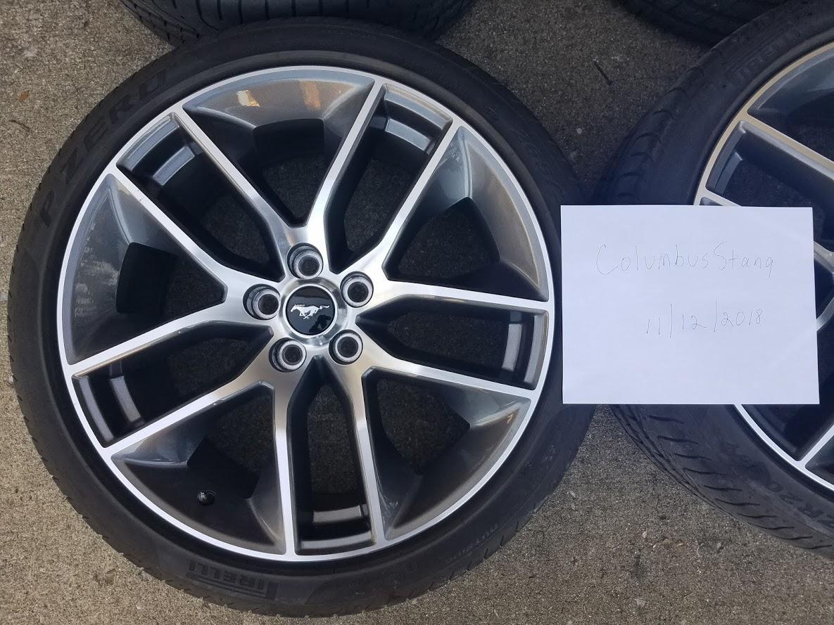 Bottom left wheel.jpg