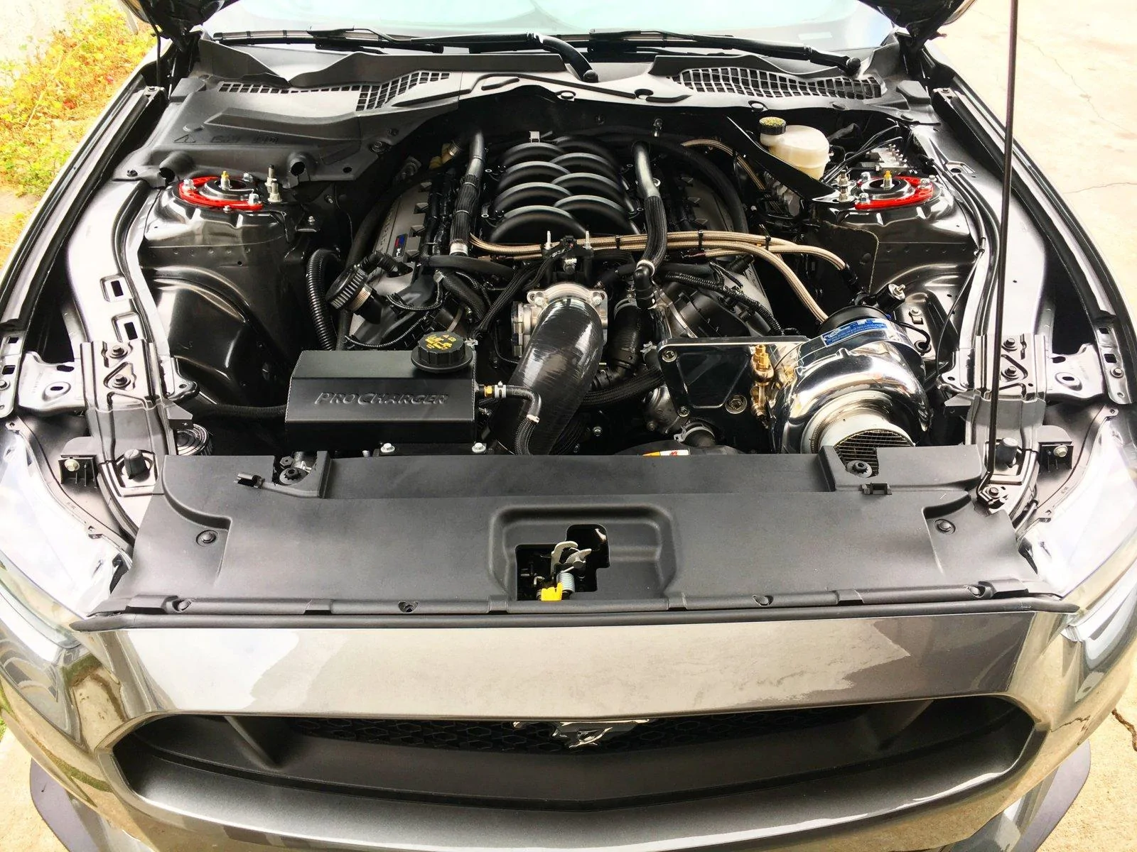 F0CBFB7A-D49A-4D19-B5E5-A674D2A6AA20.webp
