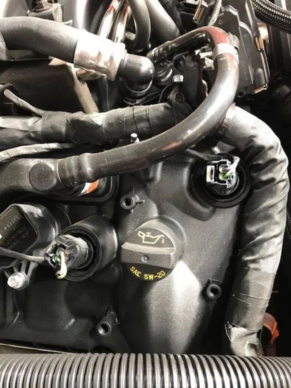 oilozbullitt.webp