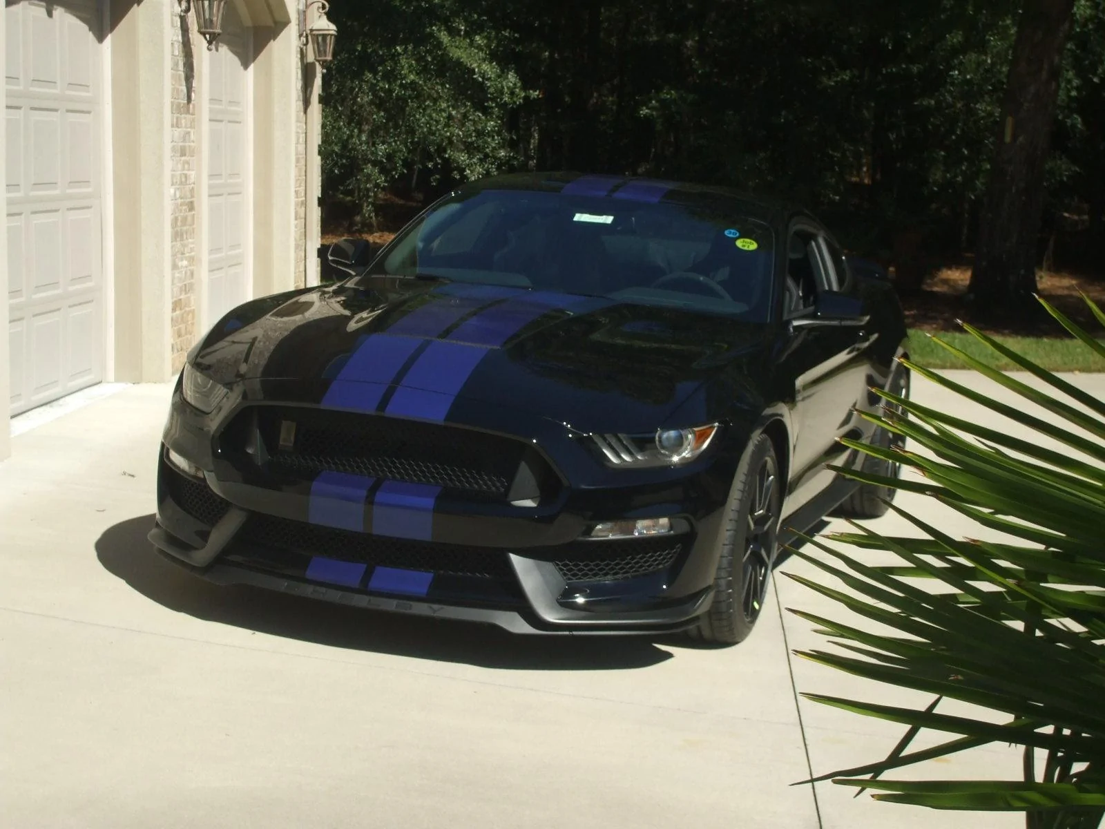 DSCF1722.webp
