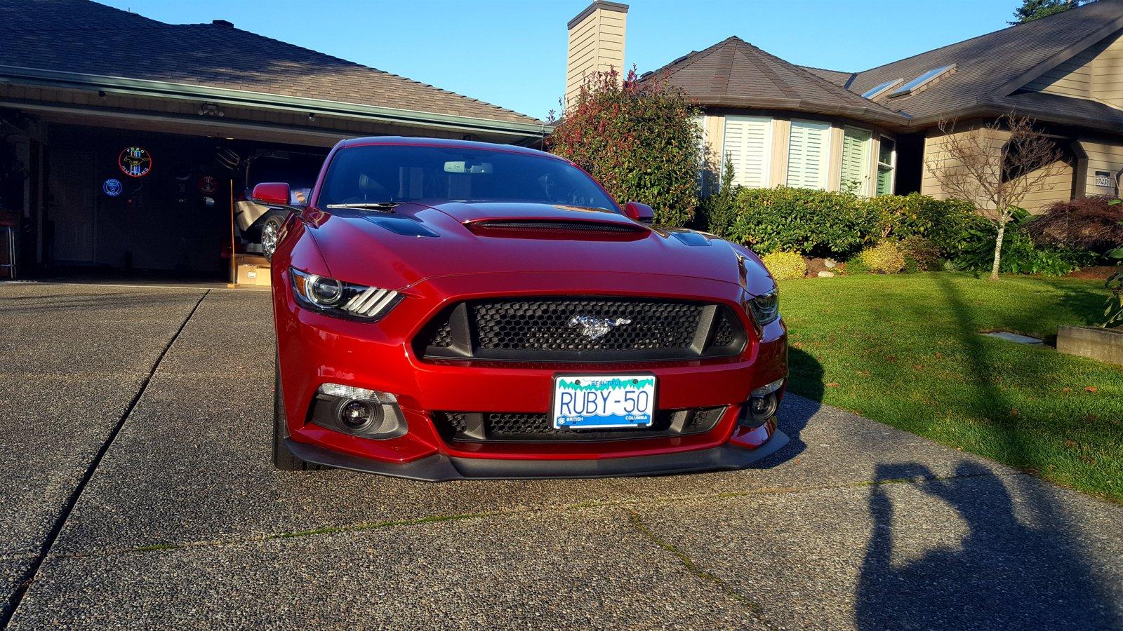 20181116_145242.jpg