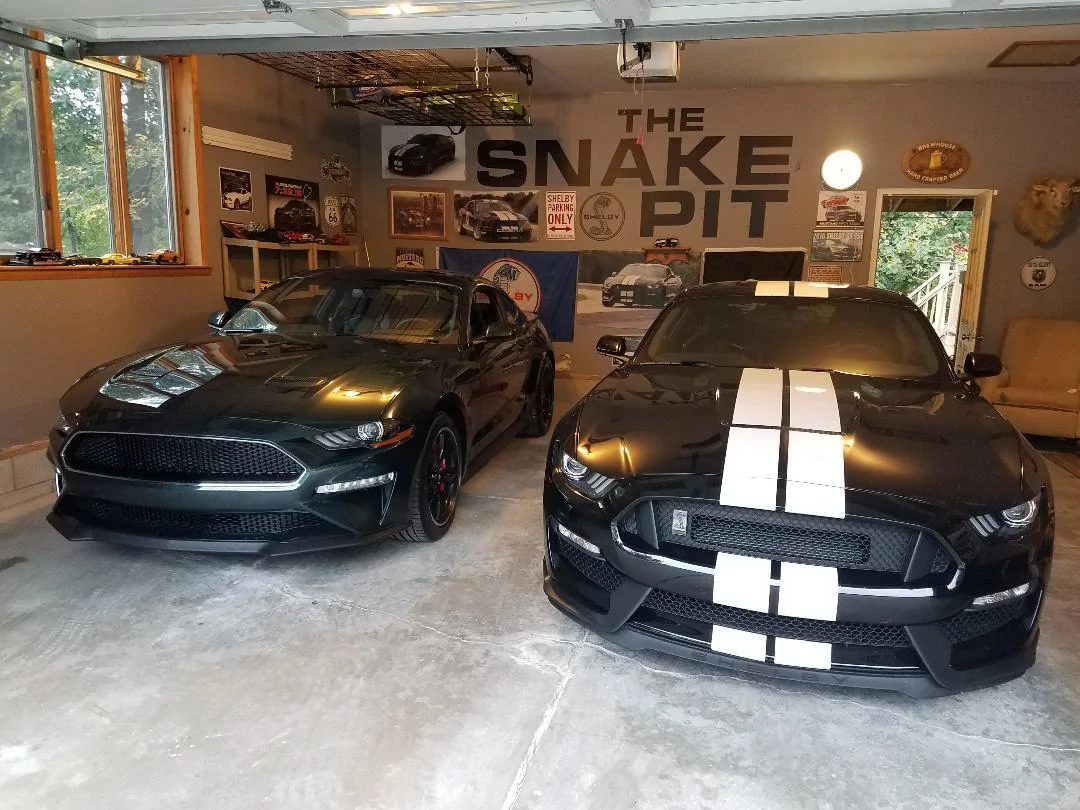 snake pit.webp