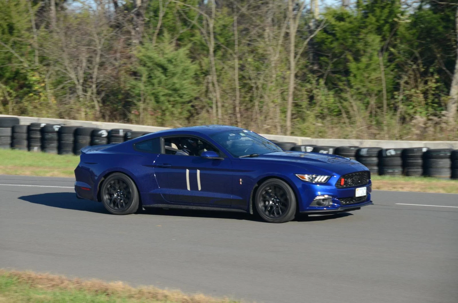 45789132742_ac6fa237cc_k.webp