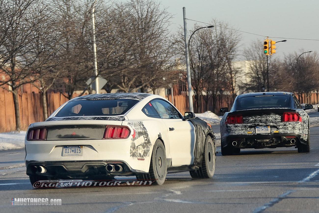 2015 Mustang GT350-GT500-6.jpg