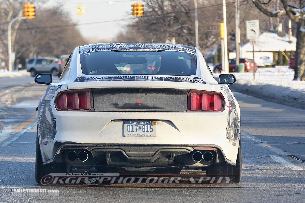 2015 Mustang GT350-GT500-7.jpg