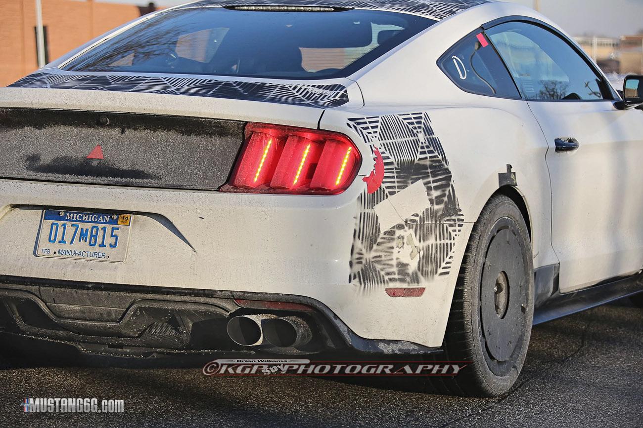 2015 Mustang GT350-GT500-8.jpg