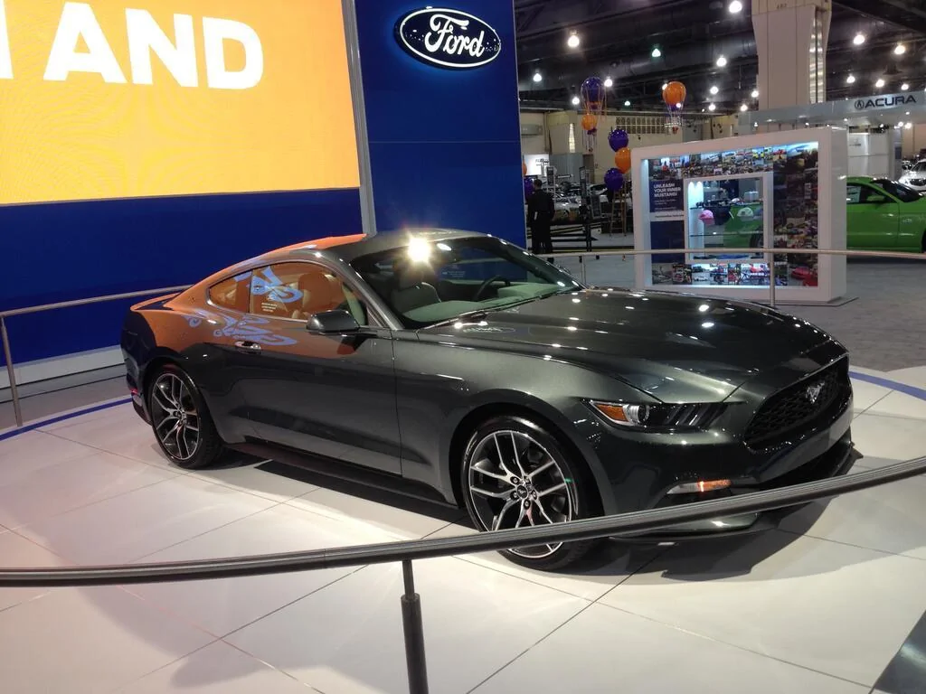 Guard Mustang.webp
