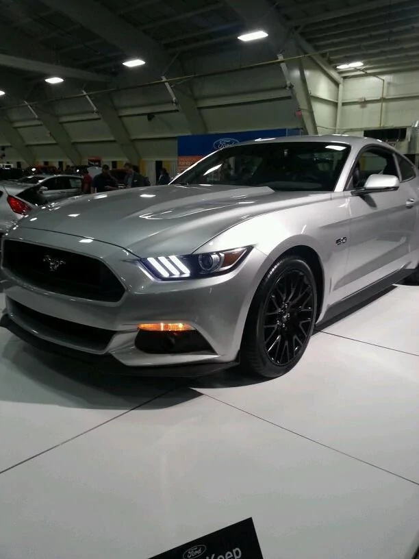 ingotsilvermustang.webp