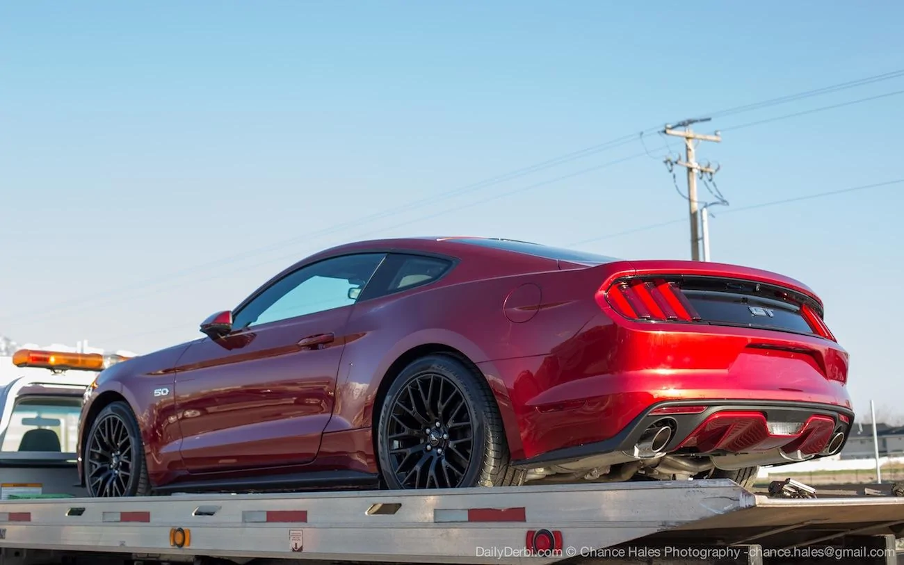 rubyred-mustang1.webp