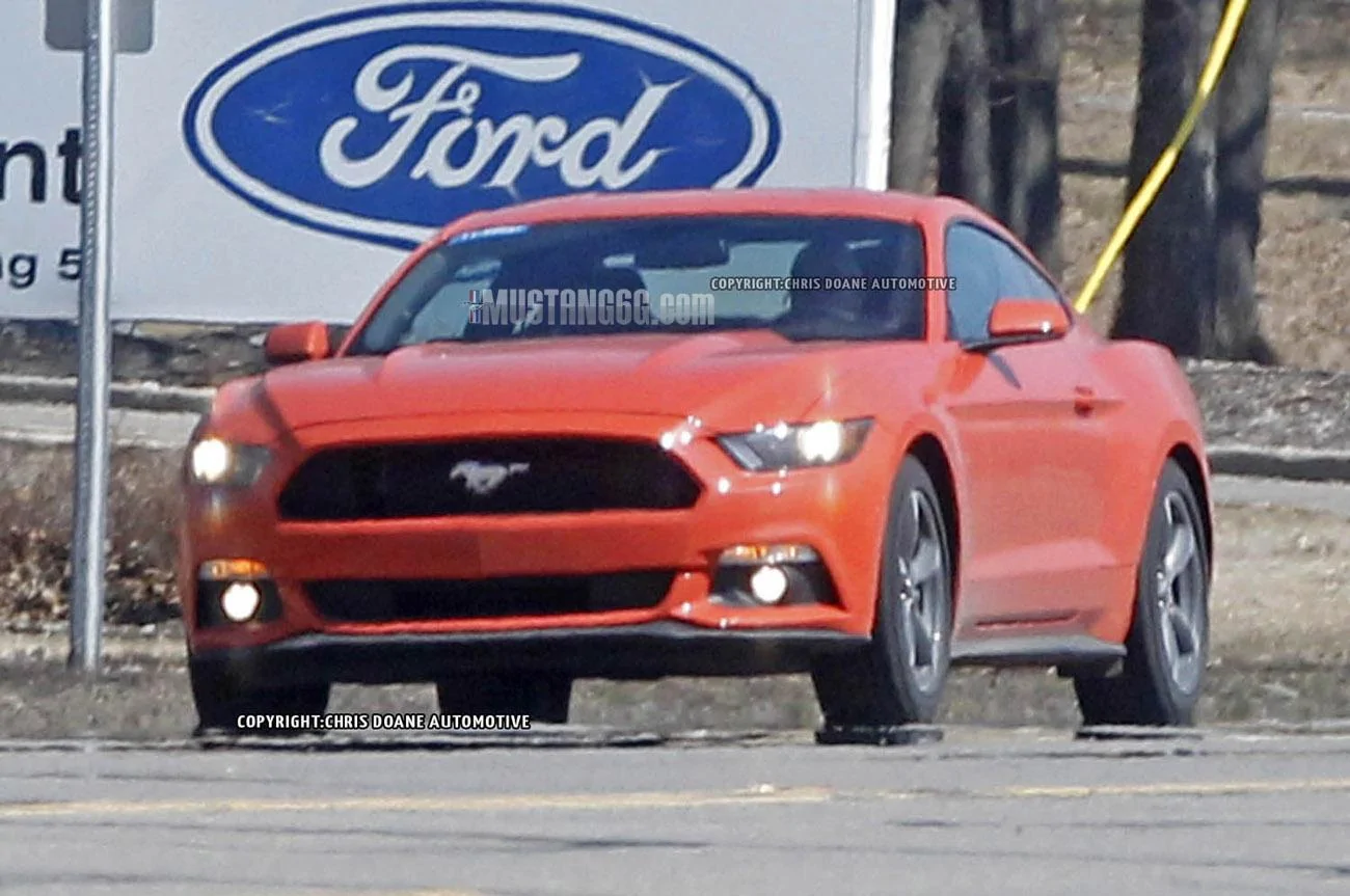 2015 Mustang Competition Orange1.webp