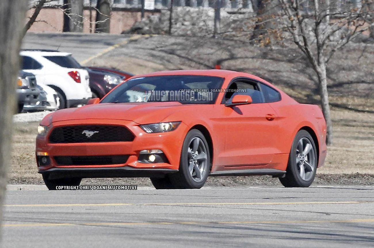 2015 Mustang Competition Orange6.webp