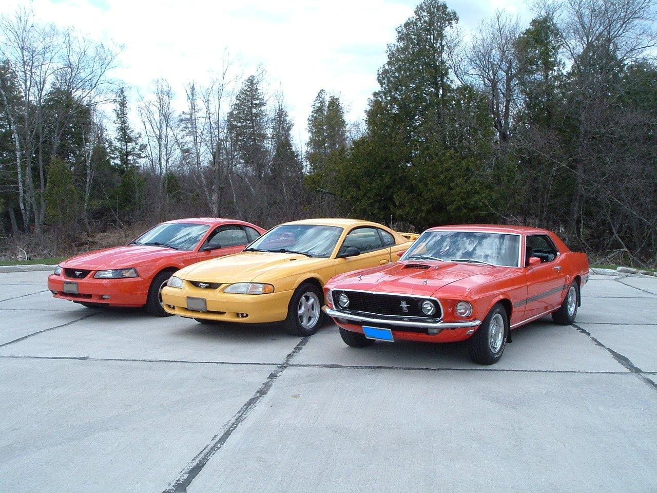 DSCF0812.JPG