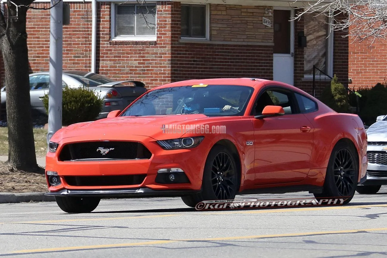 Stang.CompOrange.b01.KGP.ed-3154741686-O.webp