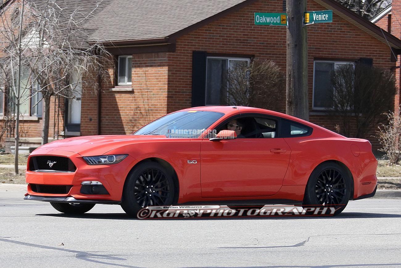 Stang.CompOrange.b02.KGP.ed-3154741703-O.jpg